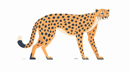 Vector hand drawn minimalistic illustration of cheeta
