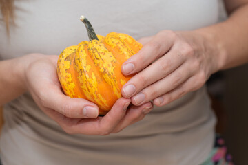 Hand Holding a Small Pumpkin. Cradling a vibrant orange and yellow patterned pumpkin.