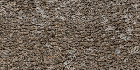 mossy oak bark texture background - obrazy, fototapety, plakaty