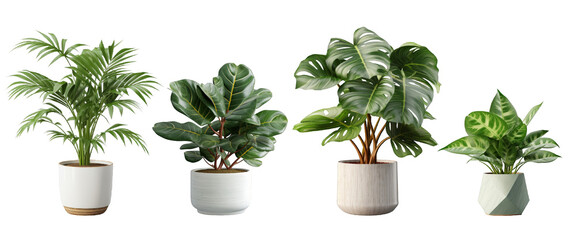 Set of beautiful plants in ceramic pots isolated on transparent background. 3D render, Ai Generative