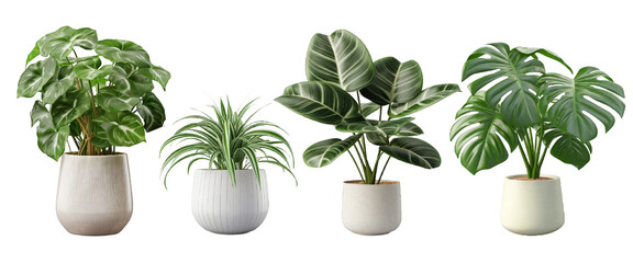 Set of beautiful plants in ceramic pots isolated on transparent background. 3D render, Ai Generative