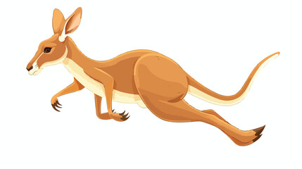 Cute little kangaroo jumping on white background
