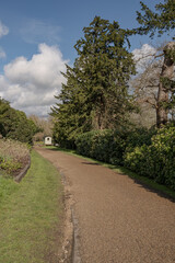 Fototapeta na wymiar Sunny walk around Petworth House gardens, West Sussex, England, April 2024