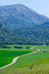 Llanos de Libar, Parque Natural Sierra de Grazalema, Montejaque, Andalusia, Spain, Europe