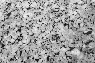 Black and white of small floating plates of sea ice in winter.