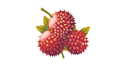 Rambutan Fruit vector on transparent background.