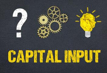 Capital input	