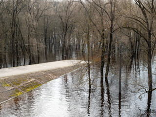 flooded river in early spring, flood in city park. - obrazy, fototapety, plakaty