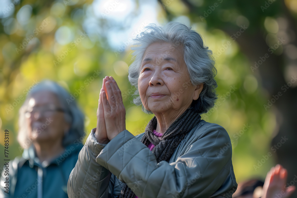 Poster Seniors taking a gentle tai chi class in the park