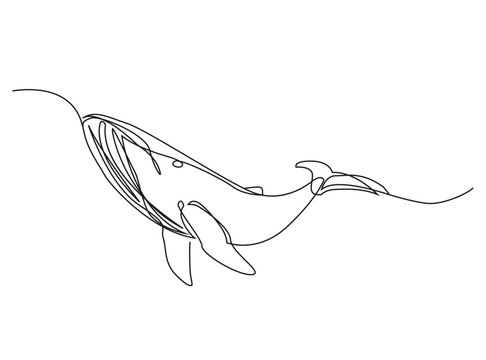 recommend clip art: Whale in one line art drawing. Modern trend vector illustration