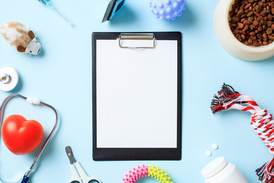Clipboard with stethoscope, red heart, bowl of dry food, pet supplies on blue background. Veterinary check up concept.