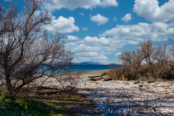 Seascape from the beach of the Sterpaia coastal park on the gulf of Follonica Tuscany Italy