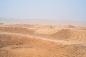 wind on sand dune of the Sahara - southern Tunisia - obrazy, fototapety, plakaty