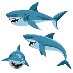 shark character in flat style on white background vector
