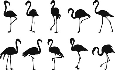 set of flamingo birds silhouette on white background vector