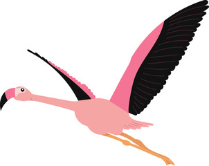pink flamingo flying in flat style on white background vector