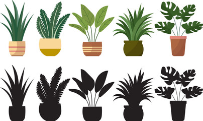 indoor plants in flowerpots set in flat style on white background vector
