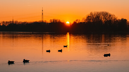 Winter sunset with reflections and swans near Plattling, Isar, Bavaria, Germany