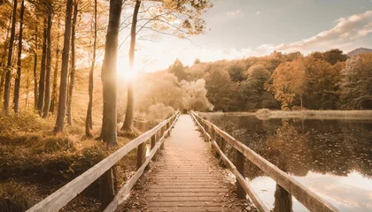 Foto auf Acrylglas autumn nature landscape lake bridge in fall forest path way in gold woods romantic view image scene © Claudio
