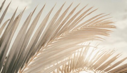 arty closeup picture of palm leaves abstract pattern nature background retro toned poster
