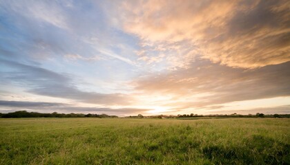 green grass field and colorful sky clouds at sunset