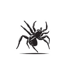 jumping spider silhouette image,jumping spider silhouette  vector,jumping spider silhouette  svg ,jumping spider silhouette  png 