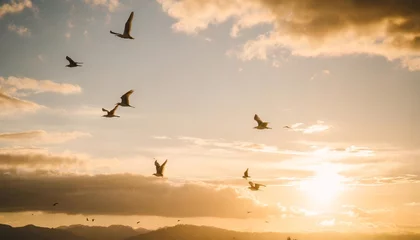 Fotobehang flying birds in the sky © Claudio