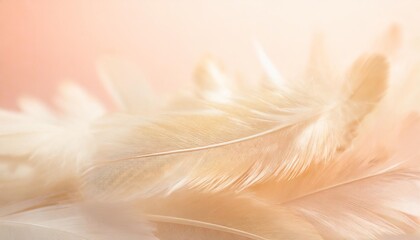 image nature art of wings bird soft pastel detail of design chicken feather texture white fluffy...