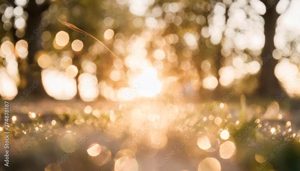 Poster blurred abstract photo of light burst among trees and glitter bokeh lights