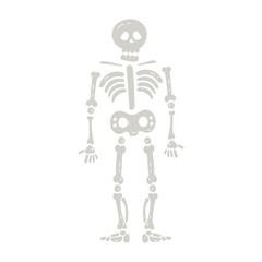 Funny cartoon skeleton illustration. Hand drawn flat halloween skeleton. Halloween scary skeleton for kids party. Vector stock illustration on isolated white background.