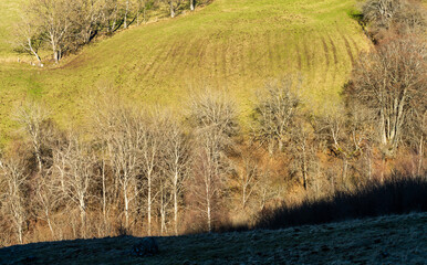 La vallée du Bonjon : un paysage sculpté par le travail des hommes et des haies bocagères,...