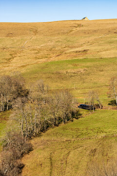 La vall&eacute;e du Bonjon : un paysage sculpt&eacute; par le travail des hommes et des haies bocag&egrave;res, Cantal, Auvergne-Rh&ocirc;ne-Alpes, France