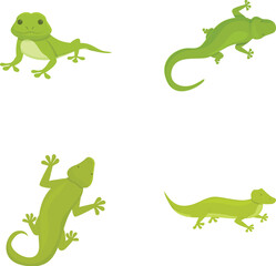 Gecko icons set cartoon vector. Cute cartoon green lizard. Animal, amphibian