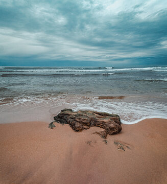 Foamy edges of waves caress the beach in soft grey light