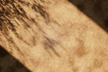 Natural stone wall texture with plant shadow flat lay. Top view of tropical summer background with leaf shade pattern.