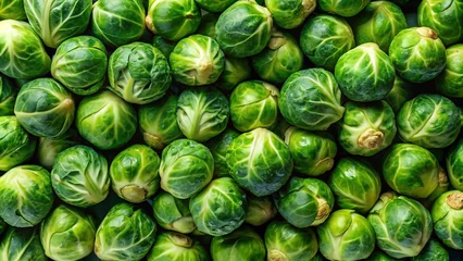 Gartenposter Fresh brussel sprouts at the market top view © vectorize