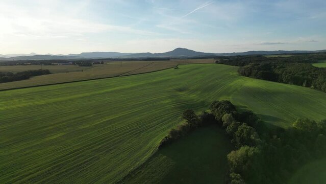 Drone view of green agricultural field with blue sky and mountain in the background