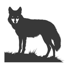 Silhouette coyote animal black color only full body