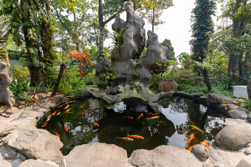 japanese zen garden