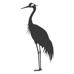 Obraz premium Silhouette crane bird animal black color only full body