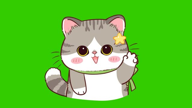 Cute cat animation on green screen