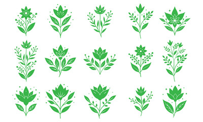 plants flower vector collection