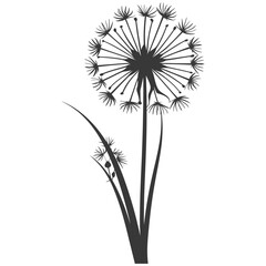 Silhouette Dandelions flower single black color only