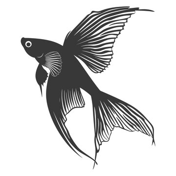 recommend clip art: Silhouette guppy fish animal black color only full body