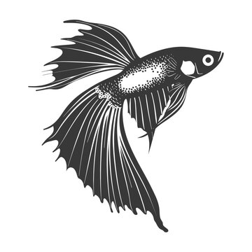 recommend clip art: Silhouette guppy fish animal black color only full body