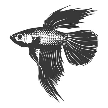 recommend clip art: Silhouette guppy fish animal black color only full body
