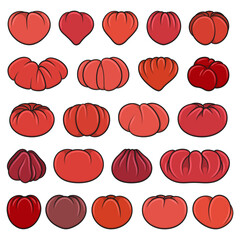 Set of color illustrations with red tomatoes. Isolated vector objects on white background.