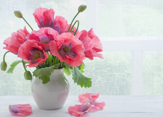 Blooming poppies in a white vase on a white wooden table near the window