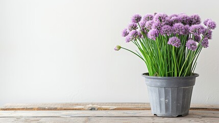 A plastic planter with an array of chives with purple blooms adorned over wooden table over a white backdrop and space, Generative AI.