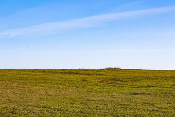 Blue sky and green meadows united on the horizon. Landscape. Wallpaper. No people, nobody. Nature....